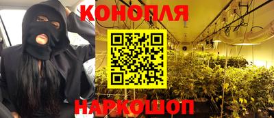молекула духа Кингисепп