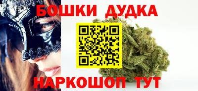 молекула духа Кингисепп