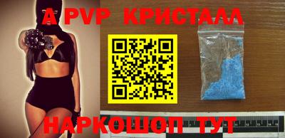 молекула духа Кингисепп