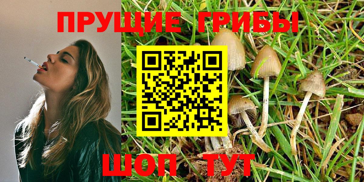 Королёв  Галлюциногенные грибы MAGIC MUSHROOMS  Вход с VPN 